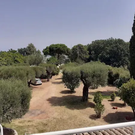 Katia * كاسيوبي